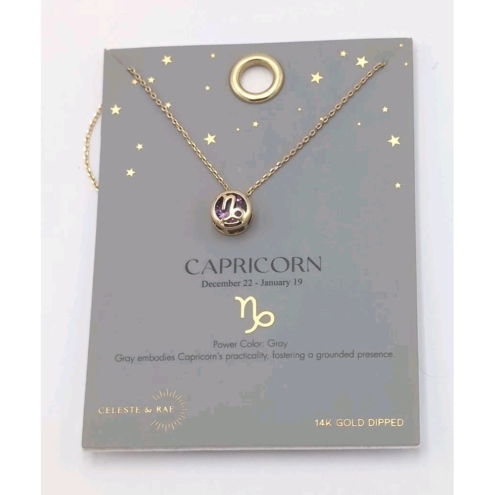 Celeste And Rae Capricorn Necklace 14K Gold Dipped